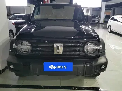 2021 Tank 300 Off-road Version 2.0T Conqueror, фото 2, лот 10902455