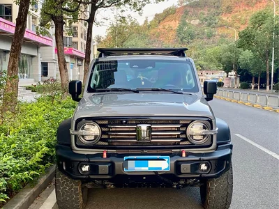 2023 Tank 300 Off-Road Edition 2.0T Conqueror, фото 2, лот 10344586