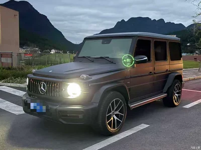 2016 Mercedes-Benz G-Class G 500, фото 1, лот 10396757