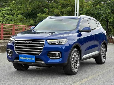 2020 Haval H6 1.5GDIT Automatic Platinum Champion Edition, фото 1, лот 10297110