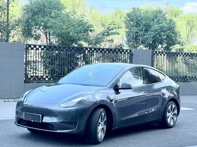2022 Tesla Model Y Facelift Rear-Wheel Drive Version, фото 1, лот 10454911