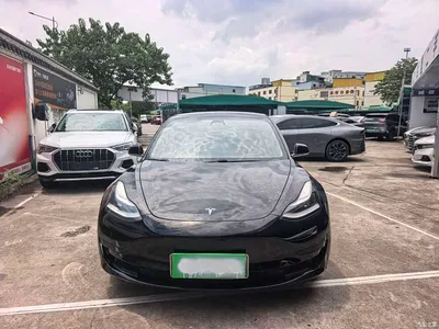 2020 Tesla Model 3 Standard Range Rear-Wheel Drive Upgrade, фото 2, лот 10352466