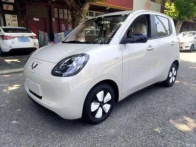 2025 Wuling Motors Hongguang MINIEV 4-Door Advanced, фото 2, лот 10371071