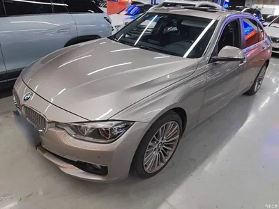 2018 BMW 3 Series 320Li Fashion Style, фото 2, лот 10457490