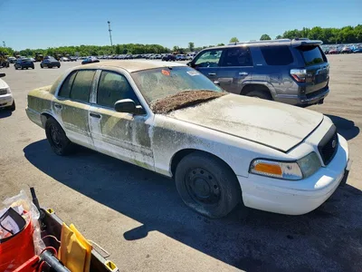 2010 FORD CROWN VICTORIA S, фото 4, лот 10554880