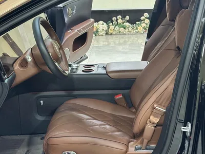 2025 Zunjie S800 Extended Range Starlight Premium Edition 5-Seater, фото 4, лот 10481962