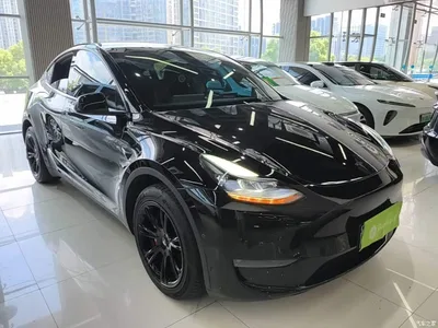 2023 Tesla Model Y Long Range All-Wheel Drive Edition, фото 4, лот 10369710