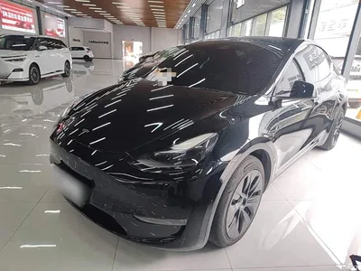 2021 Tesla Model Y Standard Range Rear-Wheel Drive, фото 2, лот 11089376