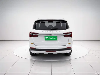 2022 Dongfeng Fengxing T5 Golden Age 1.5T Automatic Far Dream 7-seater, фото 3, лот 11166000