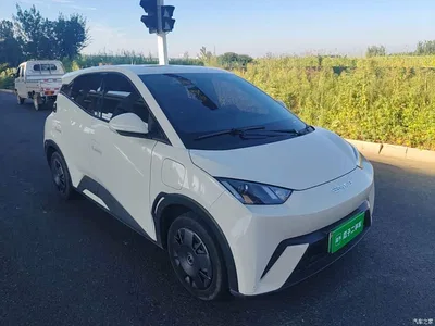 2023 BYD Seagull Vitality Edition, фото 4, лот 10259854