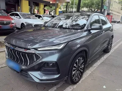 2021 Changan Oshan Changan Oushang X5 1.5T DCT Premium, фото 1, лот 11162686