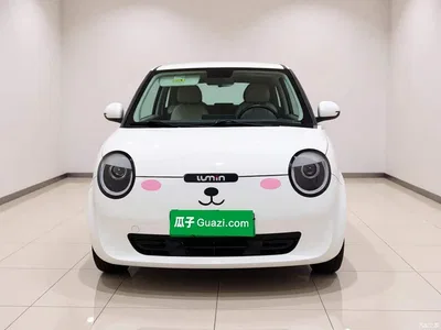 2023 Changan Qiyuan Changan Lumin Model 205km Fragrant Edition, фото 2, лот 10405802