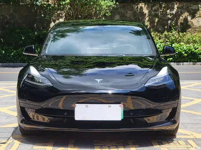 2021 Tesla Model 3 Standard Range Rear-Wheel Drive Upgrade, фото 2, лот 10401356