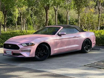 2019 Ford Mustang 2.3L EcoBoost, фото 1, лот 11386722