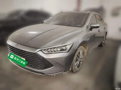 2023 BYD Qin PLUS Champion Edition DM-i 120KM Surpassing Type, фото 1, лот 10838770
