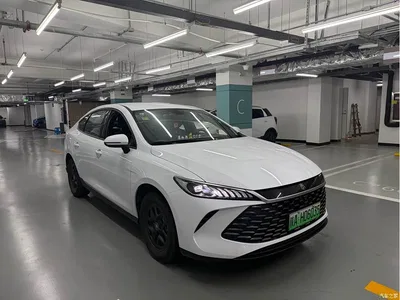 2026 BYD Qin PLUS DM-i Smart Edition 128KM Progressive, фото 2, лот 11073879