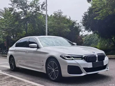 2023 BMW 5 Series 530Li Leading M Sport Package, фото 3, лот 11493565