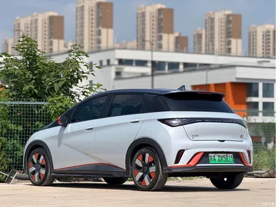 2021 BYD Dolphin 401km Knight Edition, фото 4, лот 10254633