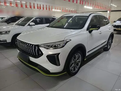 2022 Haval Chitu Power Edition 1.5T Purple Copper Rabbit, фото 2, лот 10285668