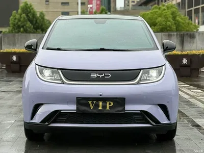2024 BYD Dolphin Glory Edition 420km Fashion Edition, фото 2, лот 10254934