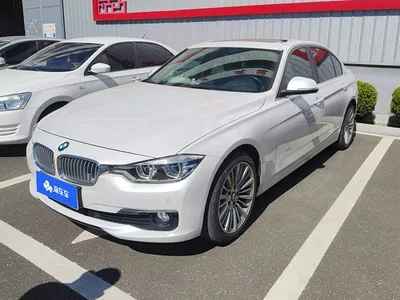 2018 BMW 3 Series 320Li Fashion Style, фото 1, лот 11585035