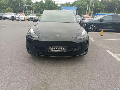 2022 Tesla Model Y Facelift Rear-Wheel Drive Version, фото 1, лот 11139377