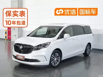 2020 Buick GL8 Model ES Landglory 653T Premium, фото 1, лот 10394488