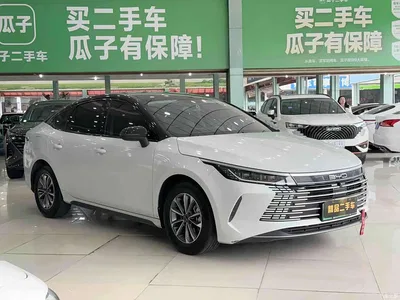 2024 BYD Destroyer 05 Glory Edition DM-i 55KM Luxury, фото 3, лот 10688897
