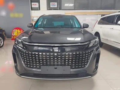 2024 Landian E5 Glory Edition 100KM Ultimate Type 7-Seater, фото 3, лот 11646085