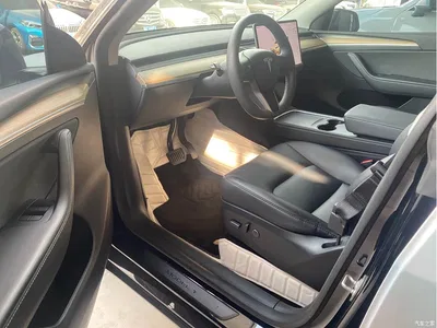 2023 Tesla Model Y Long Range All-Wheel Drive Edition, фото 3, лот 10451957