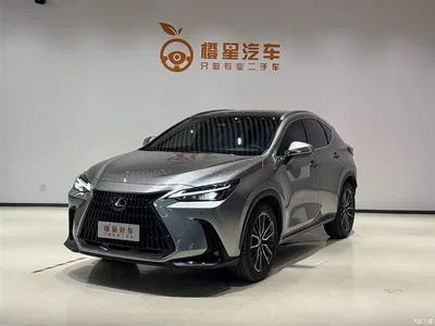 2022 Lexus NX 260 FWD Enjoy Creation Edition, фото 1, лот 10312681