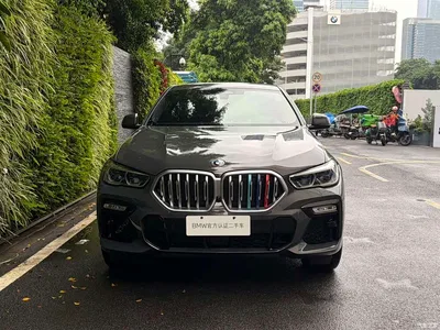 2021 BMW X6 xDrive40i Exclusive M Sport Package, фото 2, лот 10232309