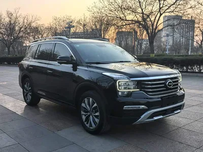 2017 GAC Trumpchi Trumpchi GS8 320T 2WD Luxury Smart Connect (7-seater), фото 3, лот 10828349