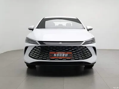 2026 BYD Qin PLUS DM-i Smart Edition 128KM Progressive, фото 3, лот 10364018