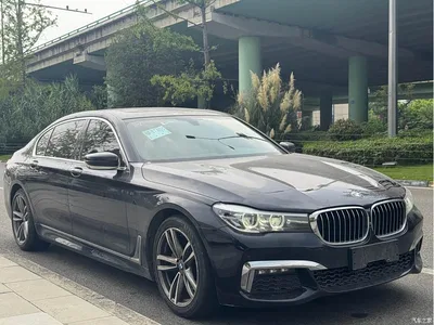 2018 BMW 7 Series 730Li Leading Type M Sport Package, фото 3, лот 10412408