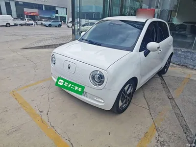 2022 Ora Black Cat 351km Comfort (NMC), фото 2, лот 10766117