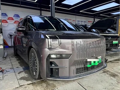 2024 ZEEKR 009 7-Seat Aisle Version 108kWh, фото 1, лот 10817943