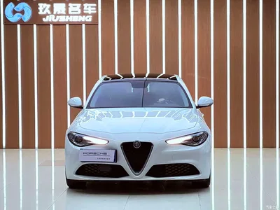 2017 Alfa Romeo Giulia 2.0T 200HP Luxury Edition, фото 2, лот 11584414