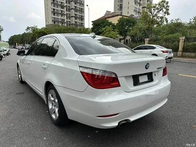 2010 BMW 5 Series 520Li Luxury, фото 4, лот 11584698