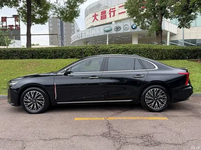 2023 Hongqi H5 2.0T Auto Smart Connect Flag Comfort, фото 3, лот 10615422