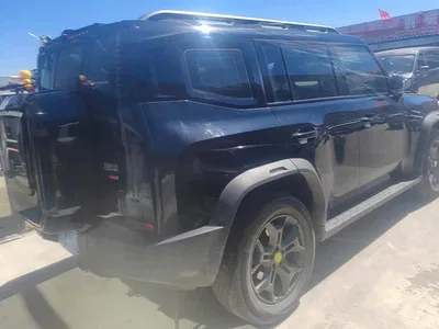 2023 Jetour Traveler Model 2.0T 4WD Cross PRO, фото 3, лот 10430017