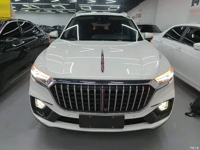 2019 Hongqi HS5 2.0T Smart Connect Enjoy Edition, фото 3, лот 11196148
