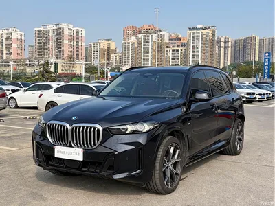 2025 BMW X5 Model xDrive 30Li Exclusive M Sport Blackout Package, фото 1, лот 10394218