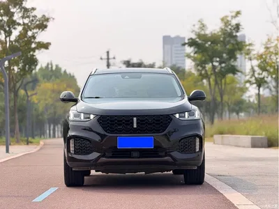 2018 WEY VV6 2.0T 2WD Flagship China V, фото 2, лот 11081382