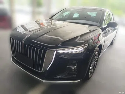 2025 Hongqi H5 2.0T Automatic Flag Celebration 500,000 Units Anniversary Edition, фото 1, лот 10289715