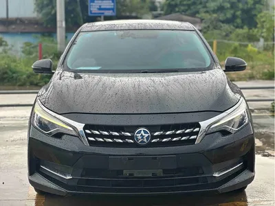 2019 Venucia D60 1.6L XL CVT Smart Connect Elite Edition (ISS), фото 2, лот 11170804