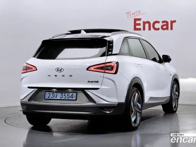 2020 Hyundai Nexo Premium, фото 1, лот 10040996