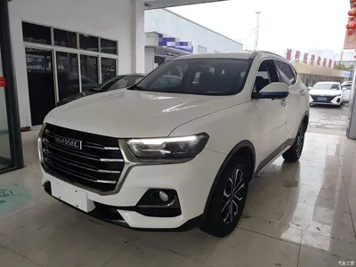 2021 Haval H6 National Trend Edition 1.5T Automatic Urban Edition, фото 1, лот 10287094