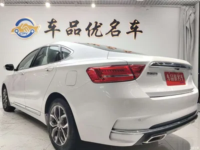 2017 Geely Borui 2.4L Premium, фото 3, лот 10359679
