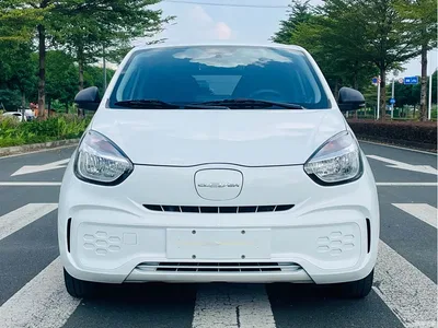 2022 Roewe Kaiwei CLEVER 311km Vitality Bobo Edition, фото 2, лот 11139254
